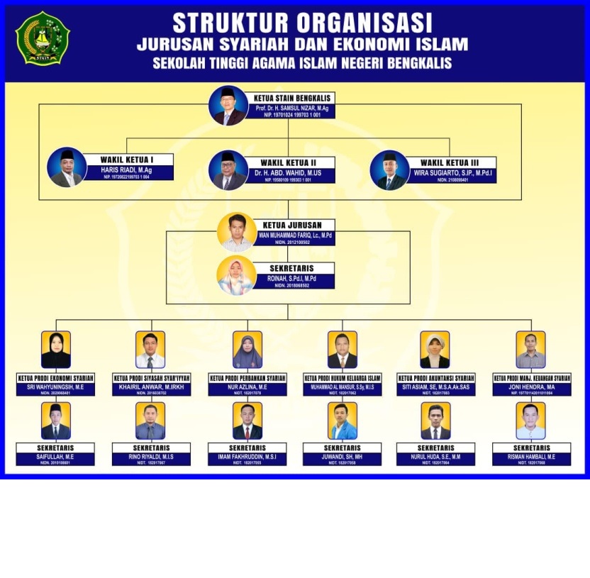 STRUKTUR ORGANISASI